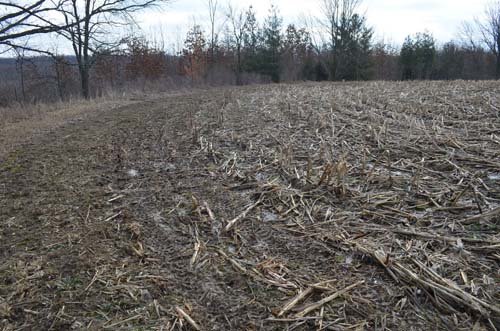 Property photo 51 - 98+/- Acres Offered in 6 Tracts or Combinations, Noble County, Indiana Farm